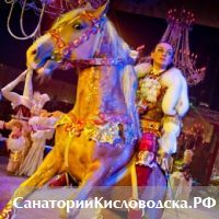 Королевское цирковое шоу «Пять Континентов»